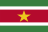 Surinamese Dollar (SRD)